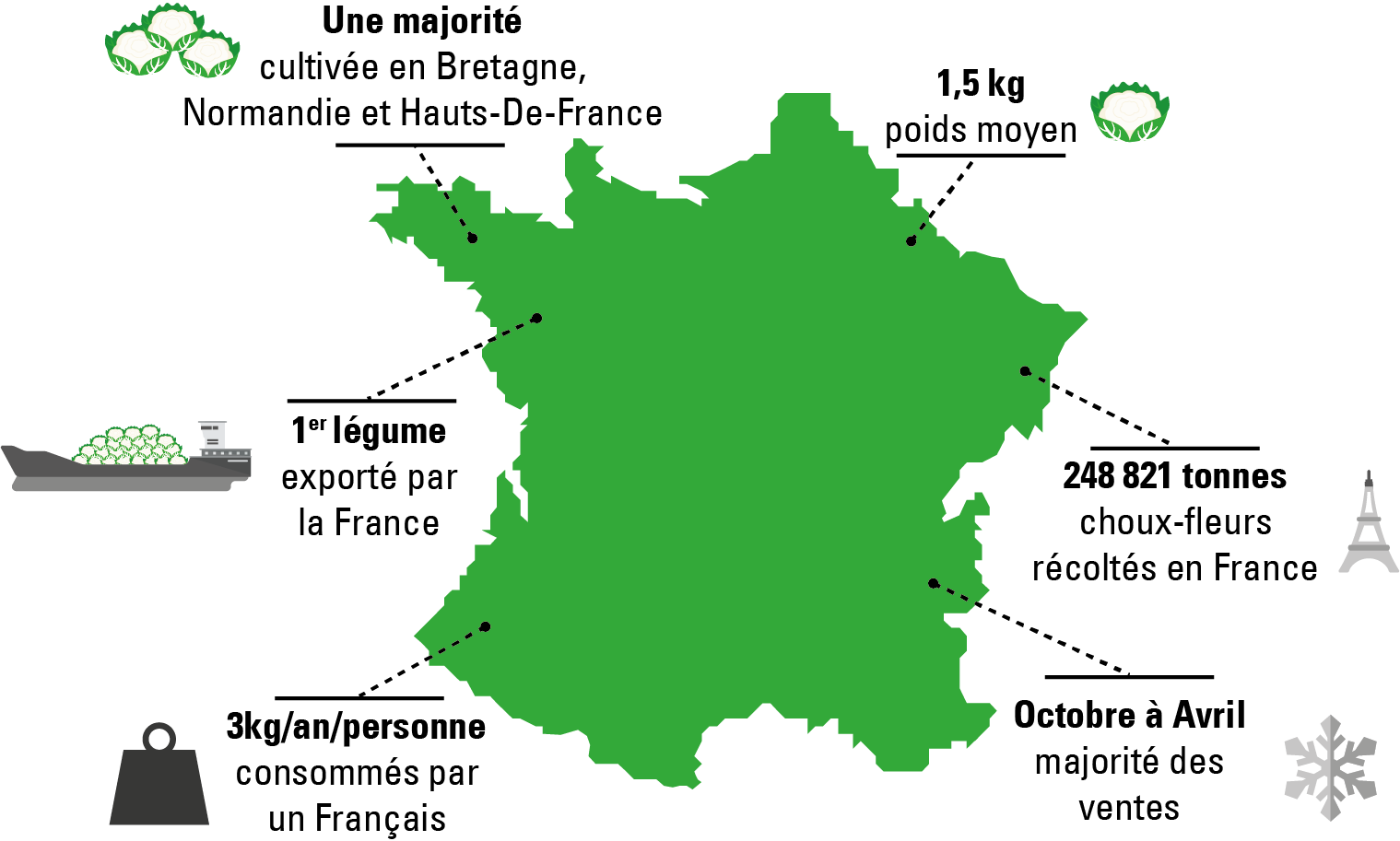 Chiffres clés marché chou-fleur